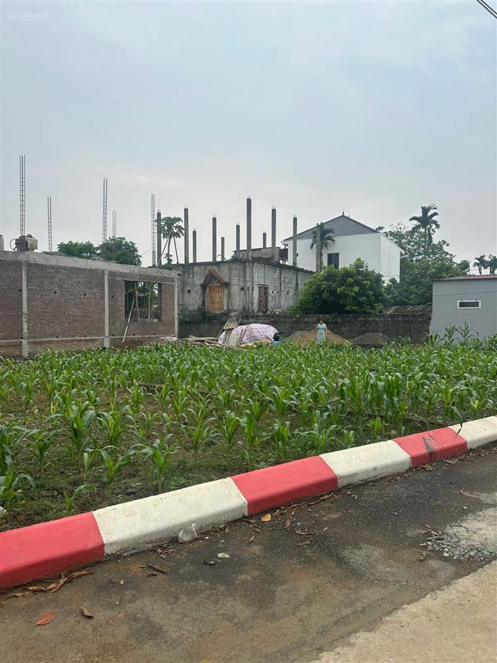 Bán đất thổ cư & đất vườn diện tích 252m2, mặt tiền 7m, đường ô tô tránh. giá 17 triệu/m2