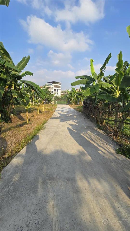Bán đất thổ cư tại thị trấn kim bài, thanh oai hà nội
diện tích 42m, mt 4,2m, ô tô tận cửa