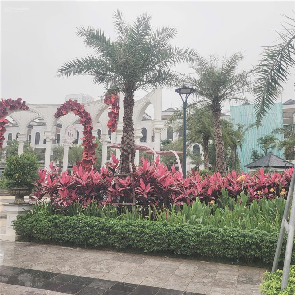 Bán nhà siêu hiếm ba đình phố núi trúc, ô tô tránh, quy hoạch tương lai cực đẹp, kinh doanh tốt