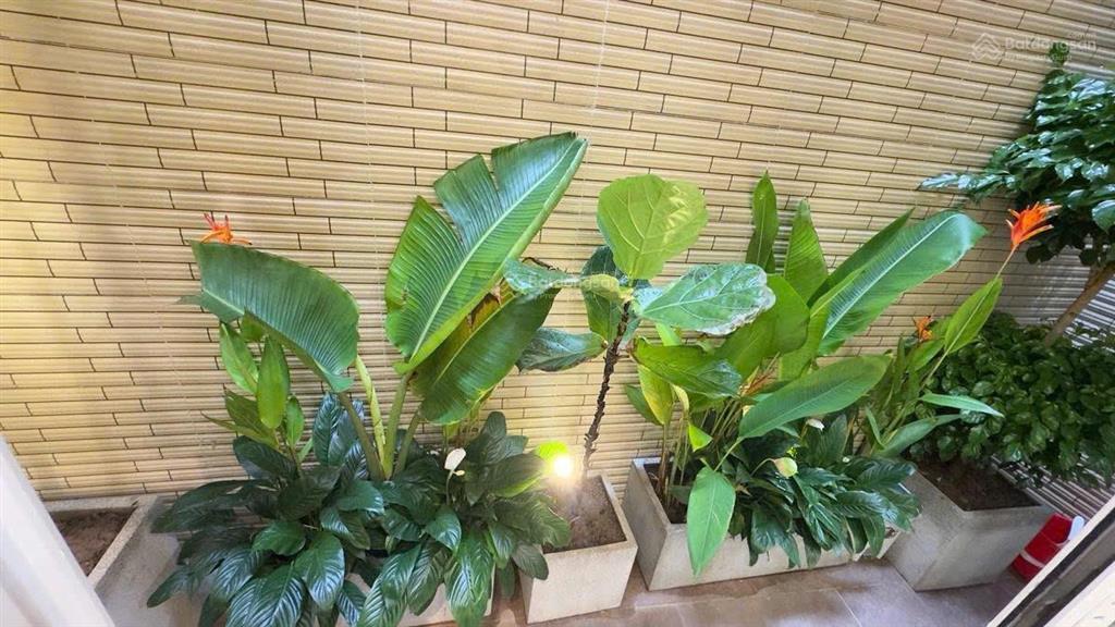 Siêu phẩm ba đình phố giảng võ, ô tô tránh, mặt tiền đẹp, vị trí kim cương