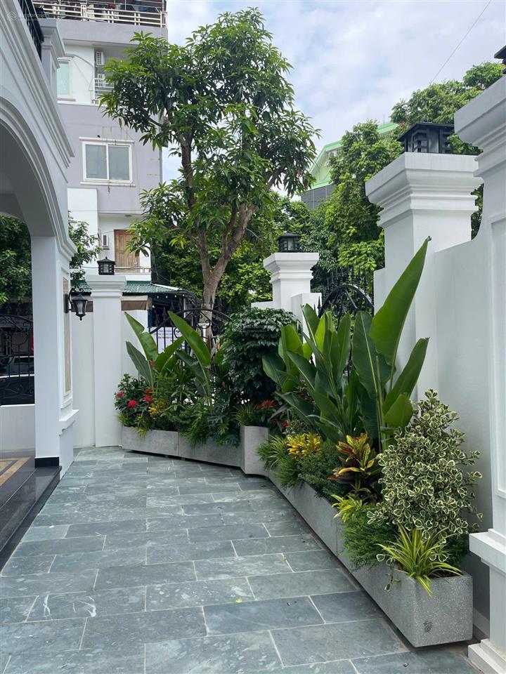 Siêu phẩm the manor central park, thang máy, dòng tiền ổn định, đẳng cấp khu đô thị