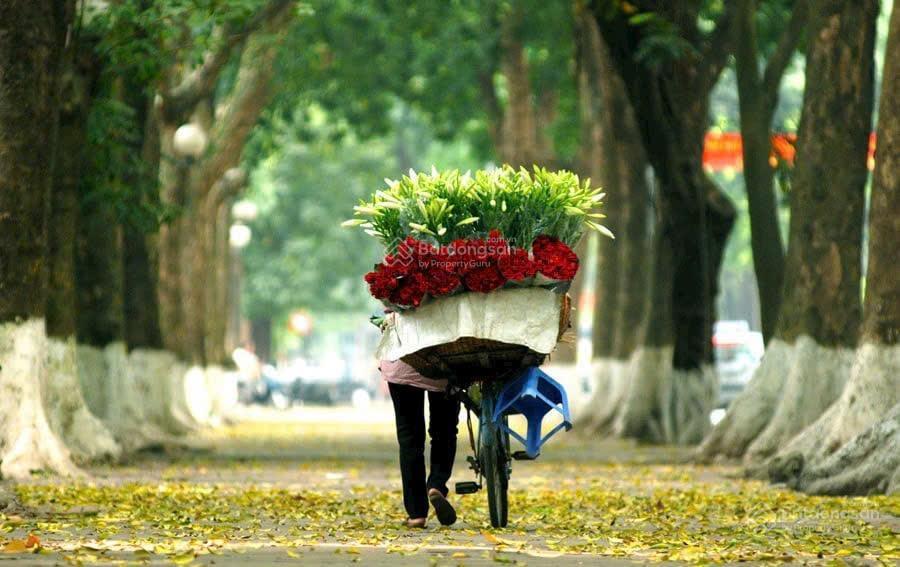 Hot! phan đình phùng tuyến phố đẹp bậc nhất thủ đô, mặt tiền rộng 10m, dòng tiền 120 triệu/tháng
