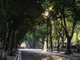 Hot! phan đình phùng tuyến phố đẹp bậc nhất thủ đô, mặt tiền rộng 10m, dòng tiền 120 triệu/tháng