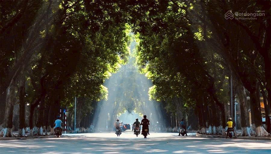 Hot! phan đình phùng tuyến phố đẹp bậc nhất thủ đô, mặt tiền rộng 10m, dòng tiền 120 triệu/tháng