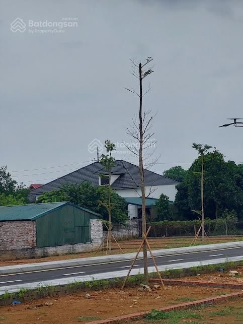 Bán đất đồng trạng hòa lạc , 45 triệu / m2, 100m2, sổ đỏ đầy đủ, giá siêu hời