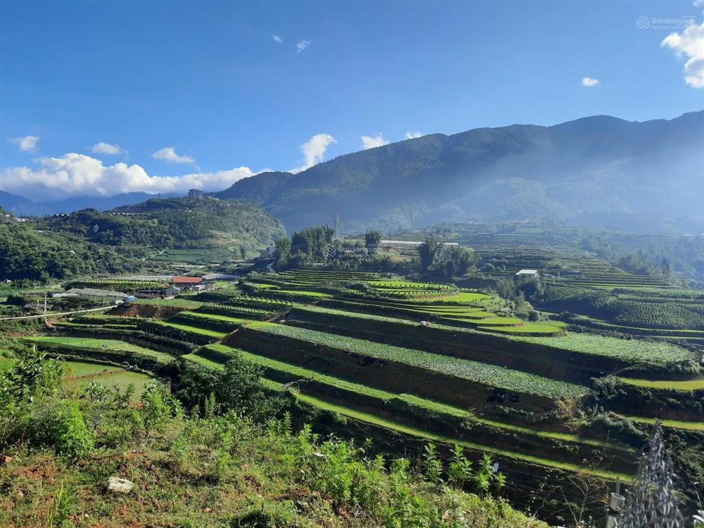 Bán đất sapa view đẹp làm quán cafe, khách sạn, dt 750 m2, chỉ 5.6 tỷ, bao giấy phép xd