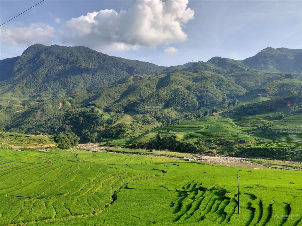 Bán đất tại tả van  sapa, 3000 m2 có sẵn 1200 m2 thổ cư, mặt tiền 40m chỉ 16.5 tỷ
