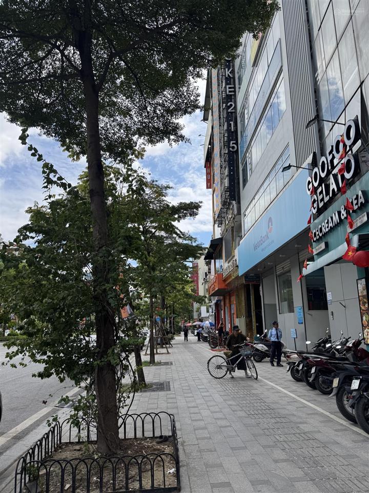 Căn góc mặt phố phan chu trinh cách hồ hoàn kiếm và nhà hát lớn 500m, nhà 6t thang máy dt 160m