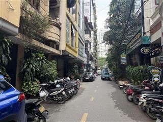 Phân lô víp ngõ 34 hoàng cầu sát hồ, ngõ thông oto tránh, dt 85m mt 8,8m không lỗi lầm, nhỉnh 33tỷ
