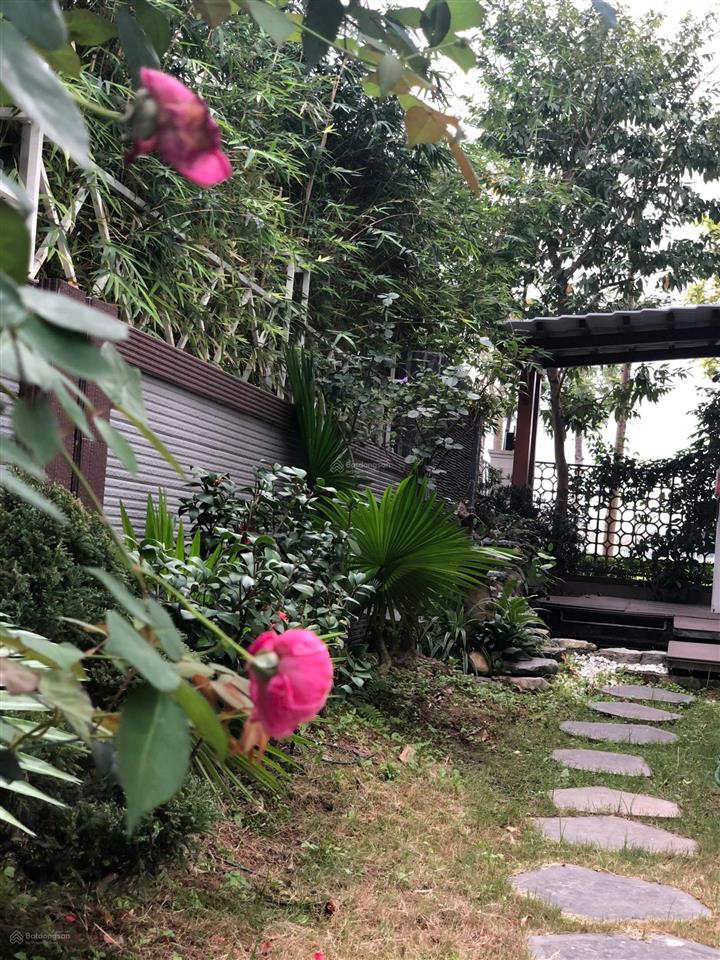 Cho thuê căn biệt thự sân vườn bể cá khô đô thị starlake tây hồ tây