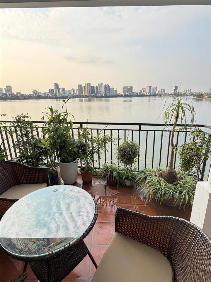 Bán nhà 6 tầng mặt phố quảng an  view hồ tây  125m²  mt 7m  thang máy  157 tỷ