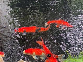 Cho thuê biệt thự đơn lập vip starlake tây hồ tây 280m 3 tầng sân vườn 4pn có thang máy full nội
