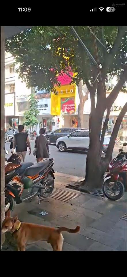 Bán căn hộ chung cư nguyễn trãi 61,92m2 tầng 2 + lửng gỗ, sổ hồng. giá 4,8 tỷ