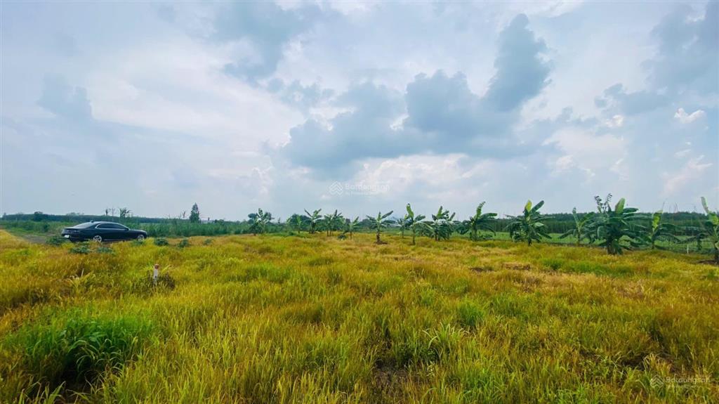 Bán vườn siêu đẹp đường 765, xã xuân đông, huyện cẩm mỹ, 1,39 tỷ, 2305 m2