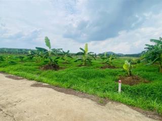 Bán vườn siêu đẹp đường 765, xã xuân đông, huyện cẩm mỹ, 1,39 tỷ, 2305 m2