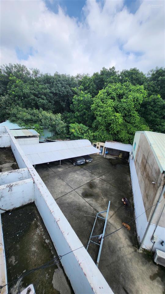 Cho thuê nhà ngay viện sinh học nhiệt đới, gần đh nông lâm