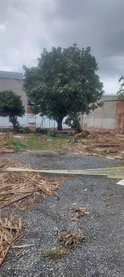 Giảm mạnh 3 tỷ đất nn chưa cmđ tiện phân lô 1182 m² còn 16 tỷ và còn tl