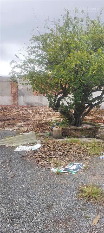Giảm mạnh 3 tỷ đất nn chưa cmđ tiện phân lô 1182 m² còn 16 tỷ và còn tl