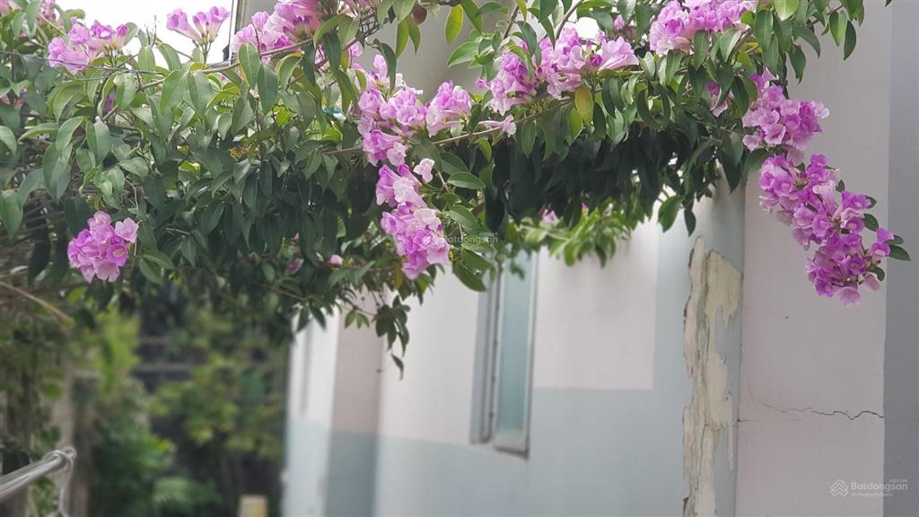 Cho thuê căn hộ mini trung tâm sg, khu an ninh, có sân vườn thoáng mát