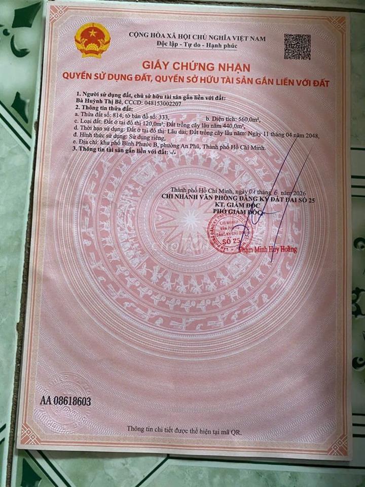 Đất chính chut