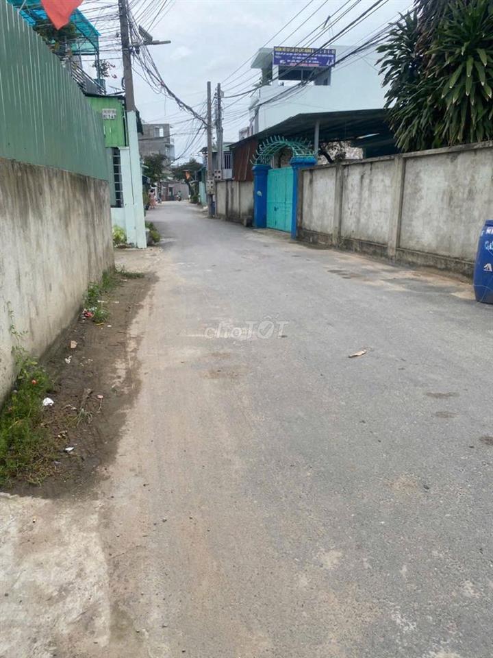 Đất chính chut