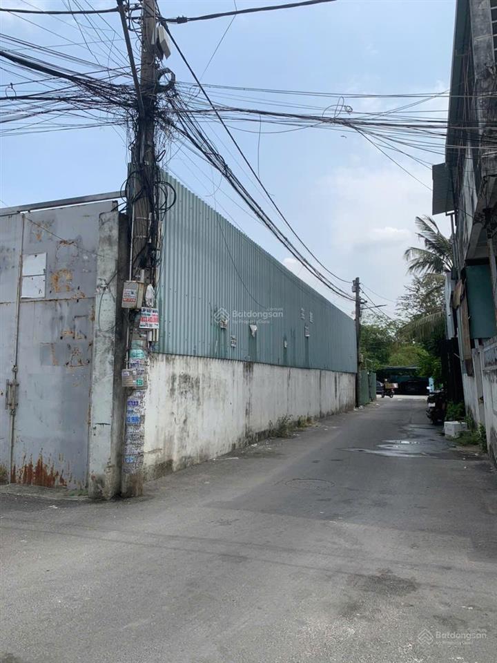Cho thuê mặt bằng đất 300m2 đường nhựa 10m hiệp bình hướng quốc lộ 13 thủ đức
