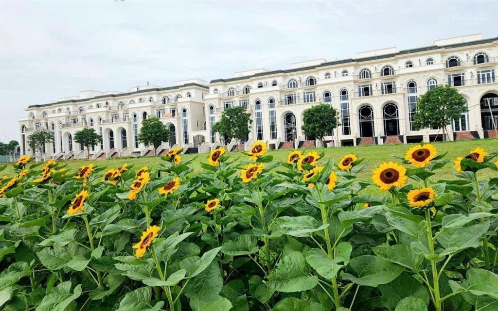 Suất ưu đãi biệt thự sông khu đô thị xanh vạn phúc city thủ đức giá rẻ, 7 * 23, 11 * 23 shr. hot!