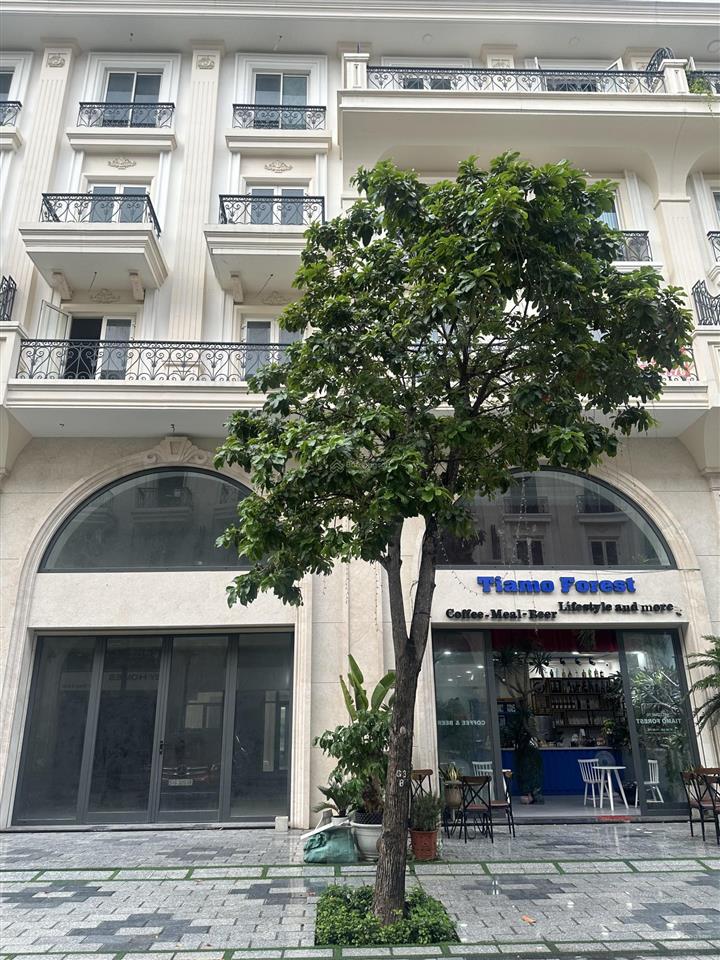 Cần bán gấp shophouse 7 *20 phố royal kđt vạn phúc city mặt tiền lớn giá tốt, shr. hot hot hot!