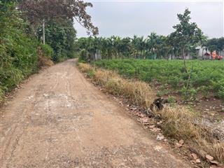 Bán đất tại bàu gia ló, 750 triệu, 200 m2, giá tốt