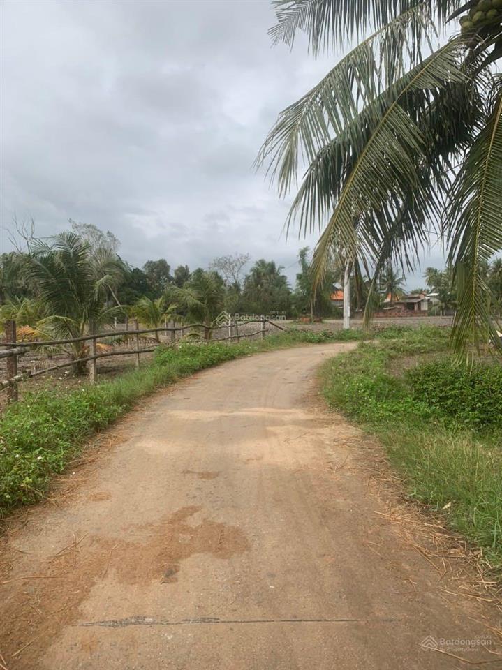 Bán gấp lô đất chính chủ đường bê tông