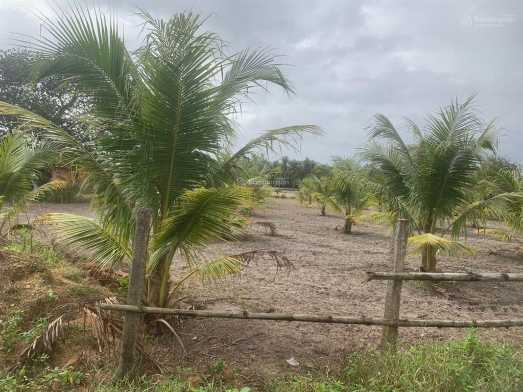 Bán gấp lô đất chính chủ đường bê tông