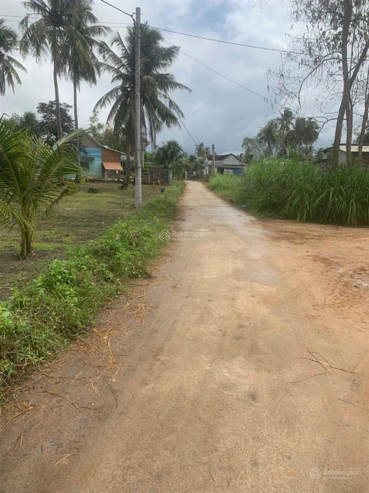 Bán gấp lô đất chính chủ đường bê tông