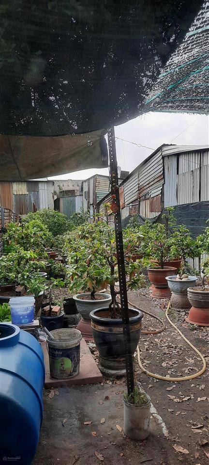 Bán đất tại hiệp bình phước, 7,6 tỷ, 137 m2, mặt tiền 5m