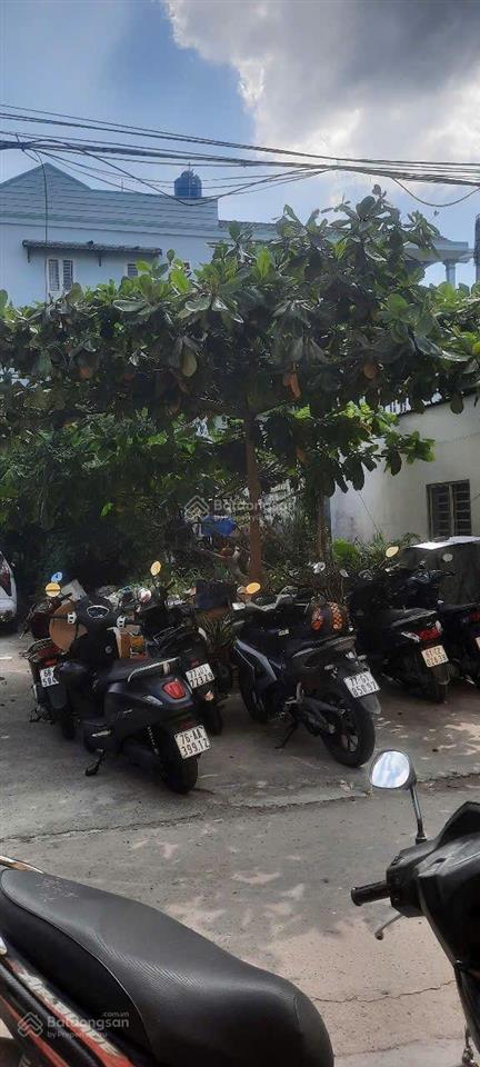 Bán đất 41/, đường 19, p. hiệp bình phước, 6,5 tỷ, 90m2, hàng hot