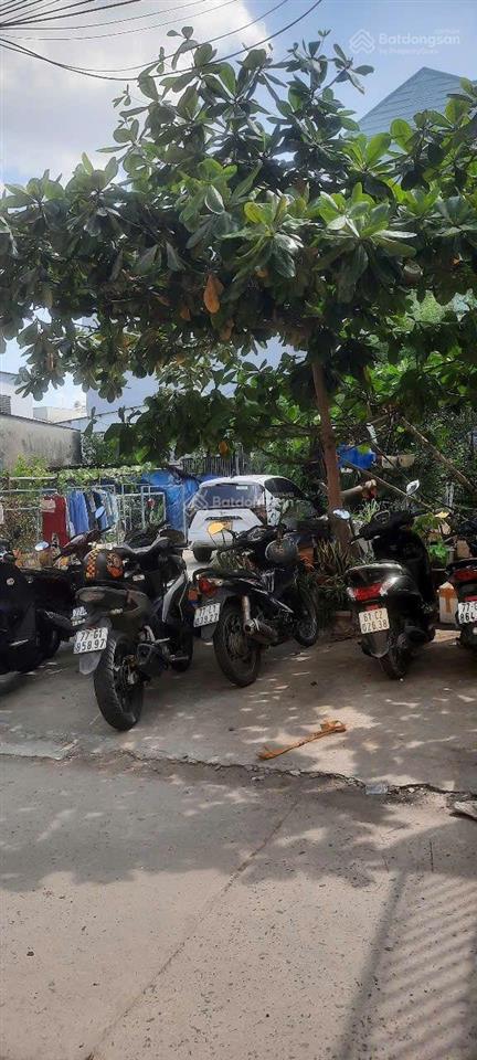 Bán đất 41/, đường 19, p. hiệp bình phước, 6,5 tỷ, 90m2, hàng hot