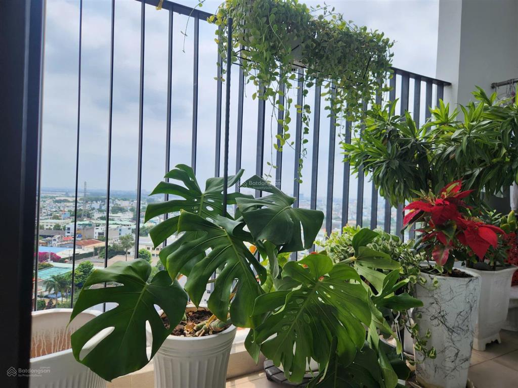 Chính chủ bán căn hộ centum wealth, 80m2 gồm 3pn giá chỉ 4.9 tỷ.  0917 288 ***