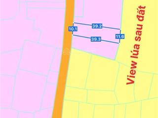 Bán 2 lô đất view lúa, thuộc phước hội (cũ) cách biển phước hải chỉ 7 phút. mặt tiền đường nhựa lớn