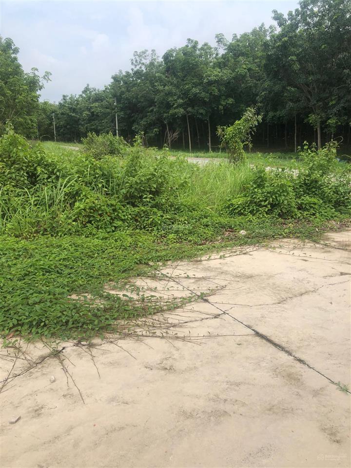 Cần bán 2,06 ha đất có 2000m2 skc. giá 22tỷ