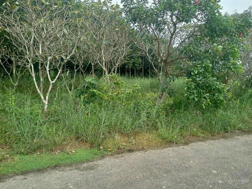 Không có lô thứ hai 1600m2, giá chỉ 2,8 tỷ