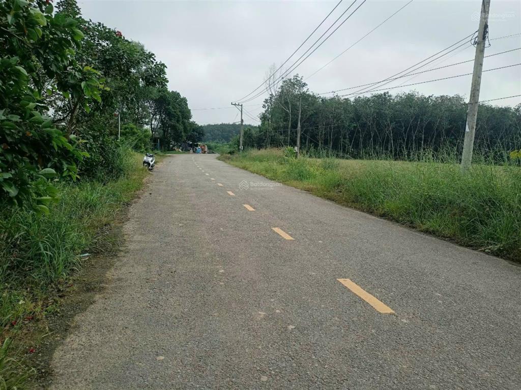 Bán đất mặt tiền tân thành 43, 8,5 tỷ, 6445 m2, view đẹp