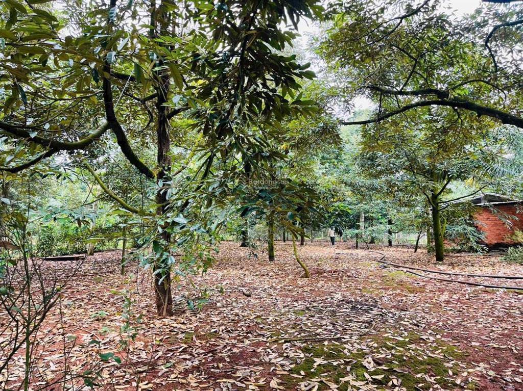 Siêu phẩm nhà vườn mặt hồ 3000m2 sẵn nhà + 150m2 thổ cư