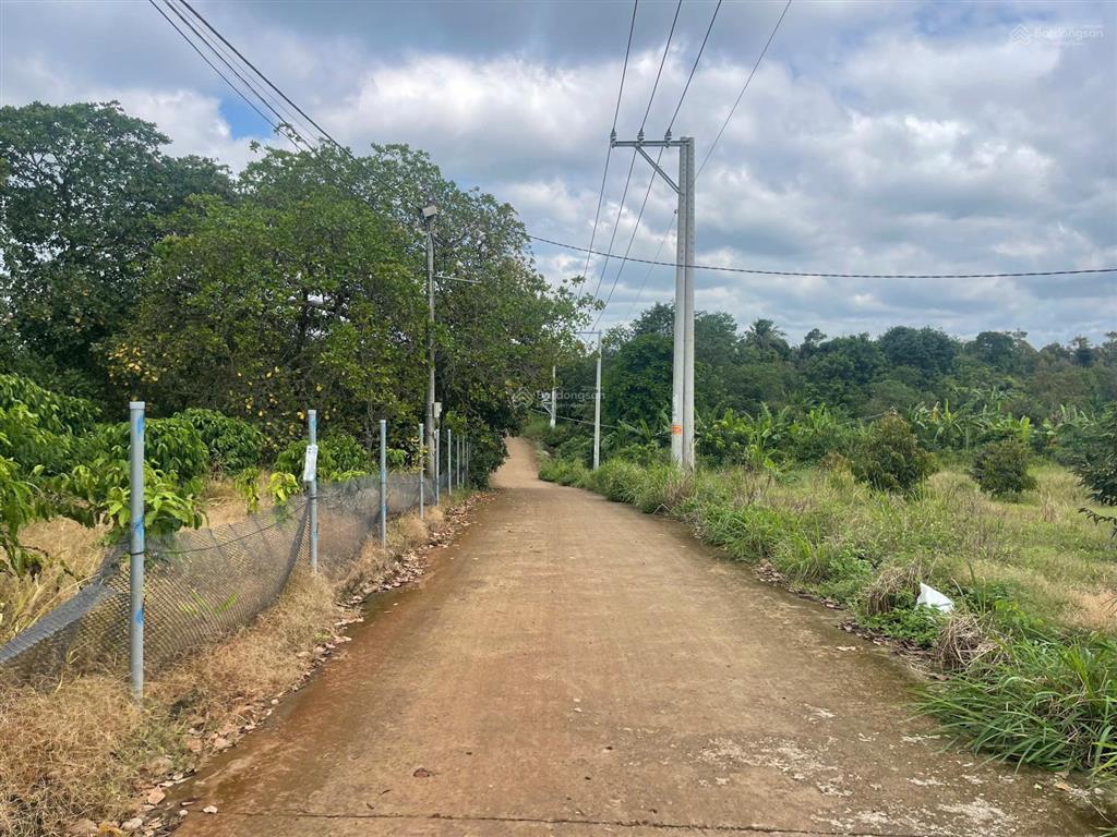 Vườn sầu góc 2 mặt tiền 4018m2  sẵn 100m2 thổ