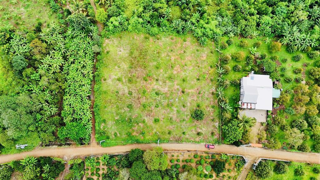 Vườn sầu góc 2 mặt tiền 4018m2  sẵn 100m2 thổ