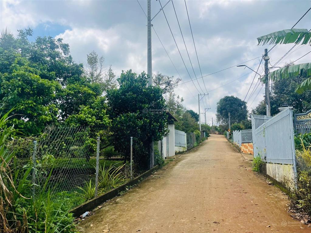 Vườn sầu góc 2 mặt tiền 4018m2  sẵn 100m2 thổ