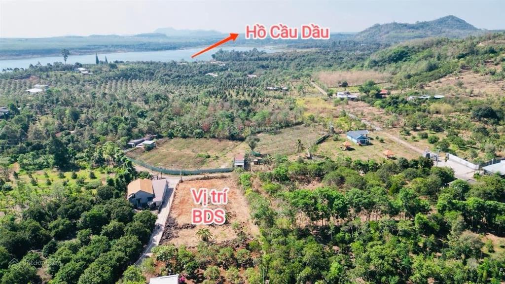 Kẹt tiền góc 2 mặt tiền 2000m2 ngay hồ bàu môn, chỉ 3,35 tỷ