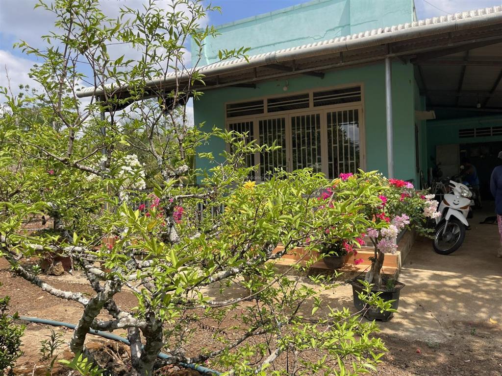 Kẹt tiền góc 2 mặt tiền 2000m2 ngay hồ bàu môn, chỉ 3,35 tỷ