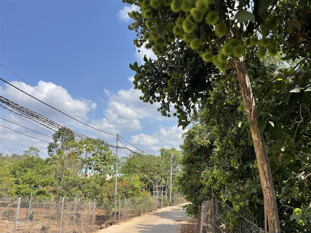 Kẹt tiền góc 2 mặt tiền 2000m2 ngay hồ bàu môn, chỉ 3,35 tỷ