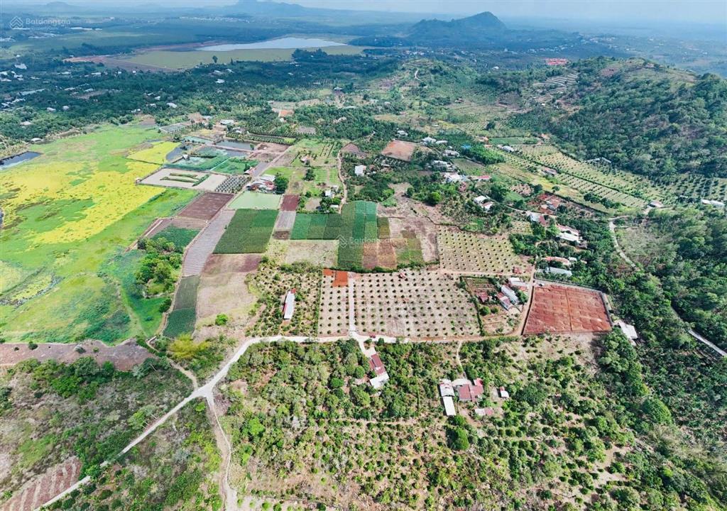 Nhà vườn sầu riêng 3000m2 sẵn 100 thổ cư chỉ 5ty7