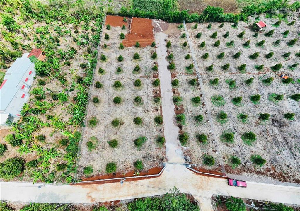 Nhà vườn sầu riêng 3000m2 sẵn 100 thổ cư chỉ 5ty7