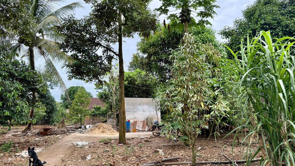 1000m2 mặt tiền nhựa ngang hơn 20m chỉ 1ty4